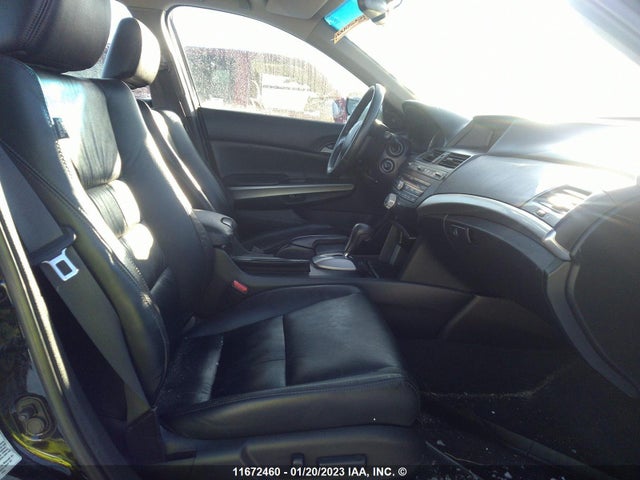 Honda ACCORD EXL 2010 1HGCP3F81AA801041 Image 7