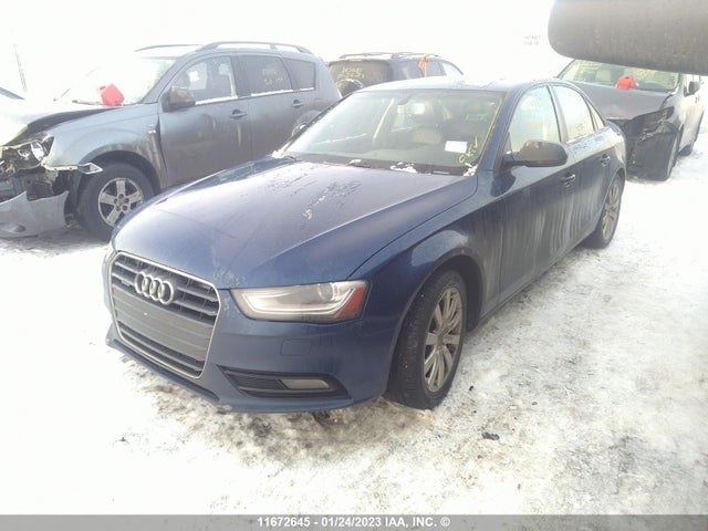 WAUDFCFL6DA188684 Audi A4 PREMIUM
