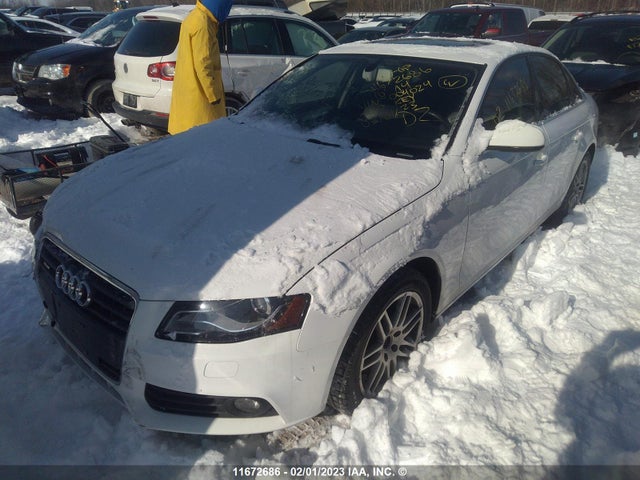WAUFFCFL3AN004024 Audi A4 Premium Plus