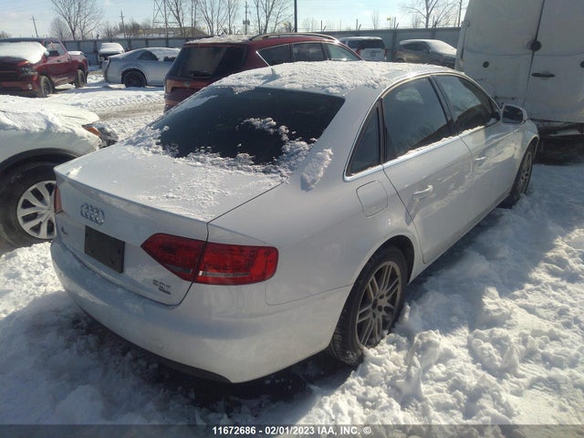 WAUFFCFL3AN004024 Audi A4 Premium Plus