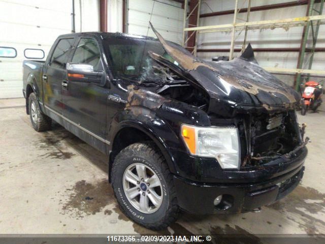 Auction sale of the 2009 Ford F150 Supercrew, vin: 1FTPW14V79FA02878, lot number: 11673366