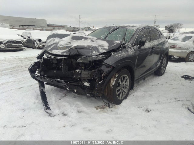 JTJGARDZ8L5016007 Lexus NX
