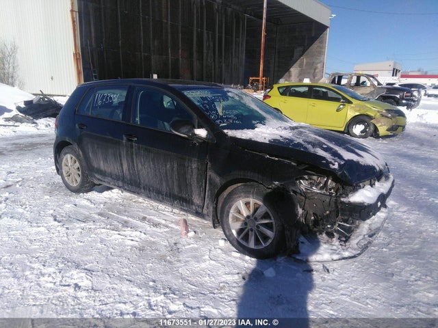 3VW217AU6HM056014 auction archive image
