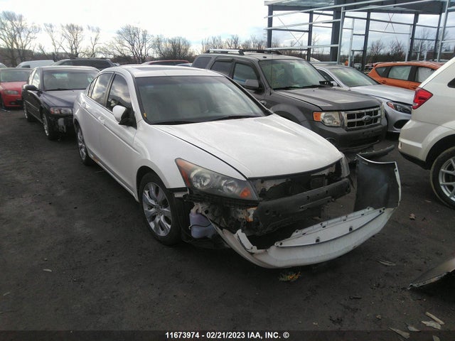 Honda ACCORD EXL 2010 1HGCP2F8XAA802165 главное изображение