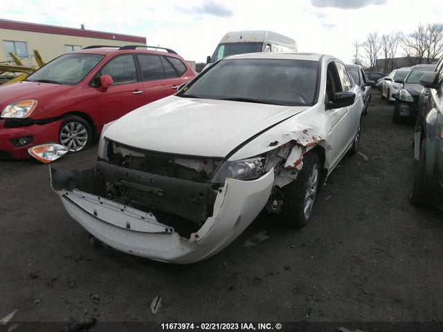 Honda ACCORD EXL 2010 1HGCP2F8XAA802165 Image 2