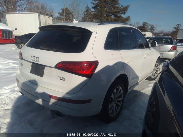 WA1LFCFPXEA031592 Audi Q5 Premium Plus