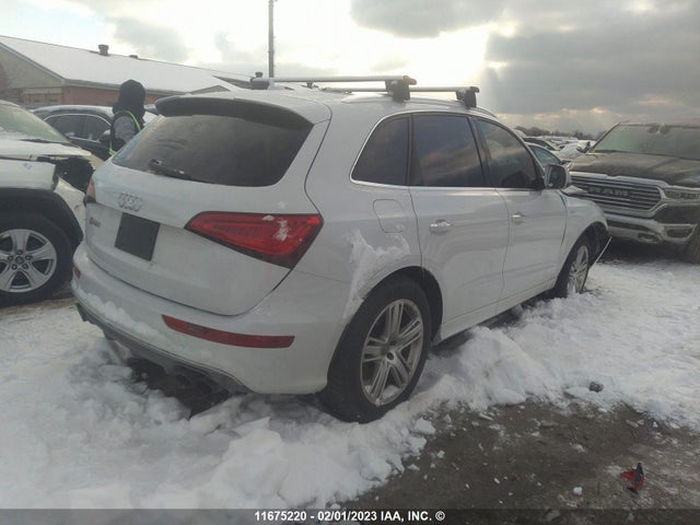 WA1LGCFP8FA019293 Audi Q5 Premium Plus