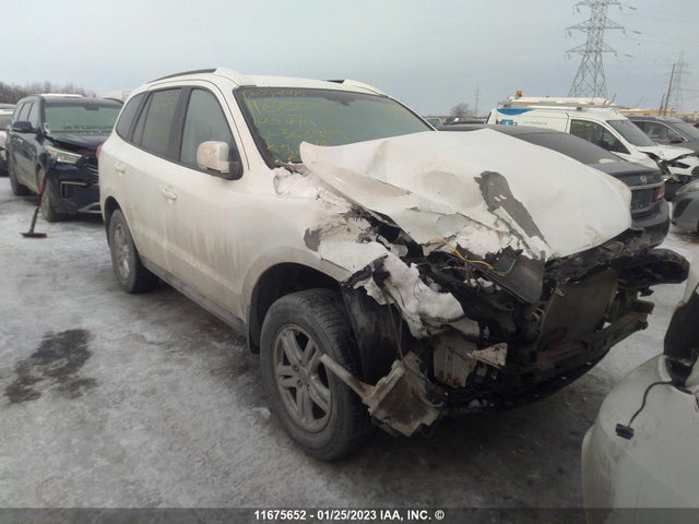 Hyundai Santa Fe Gls 2010 5NMSG3ABXAH366989 главное изображение