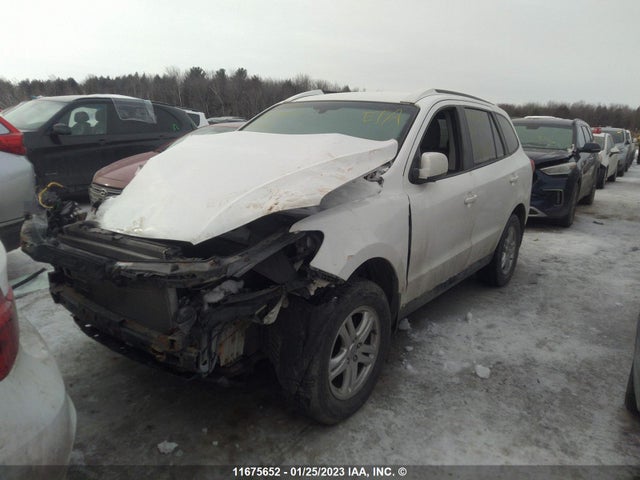 Hyundai Santa Fe Gls 2010 5NMSG3ABXAH366989 Image 2
