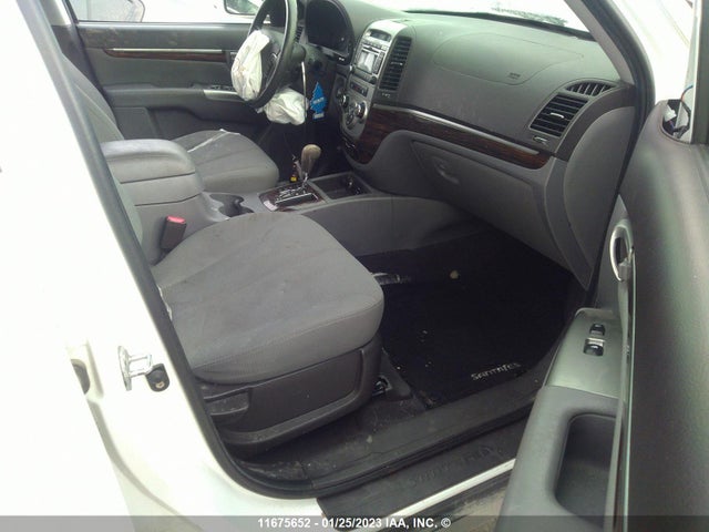 Hyundai Santa Fe Gls 2010 5NMSG3ABXAH366989 Image 6