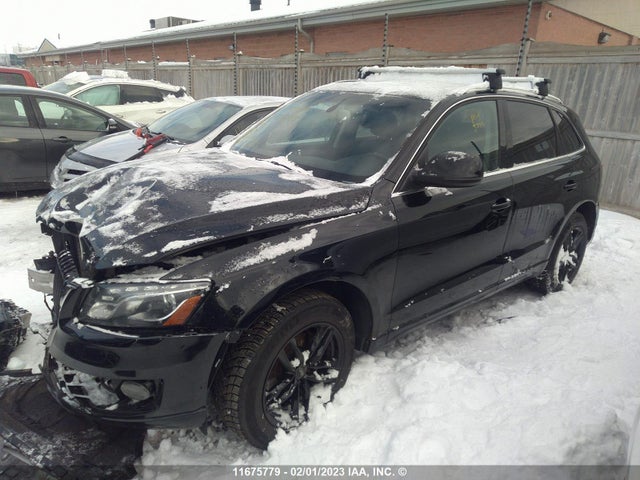 WA1LFCFP1BA052181 Audi Q5 Premium Plus