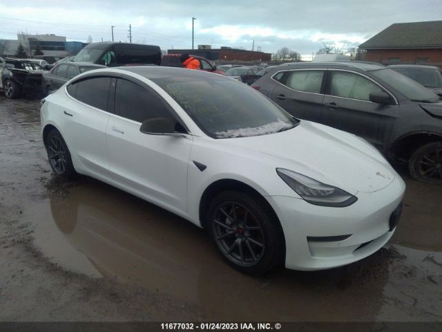 Продажа на аукционе авто 2020 Tesla Model 3, vin: 5YJ3E1EA0LF529296, номер лота: 11677032