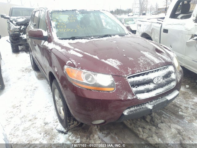 Hyundai Santa Fe Gl 2009 5NMSG73E89H274564 головне зображення