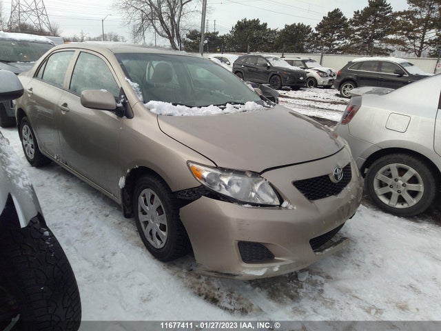 Toyota Corolla S/le/xle 2009 2T1BU40E39C069624 главное изображение
