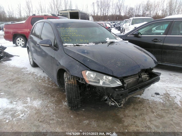 3VW217AU0HM031495 auction archive image