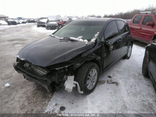 3VW217AU0HM031495 Volkswagen Golf S/wolfsburg/se/sel
