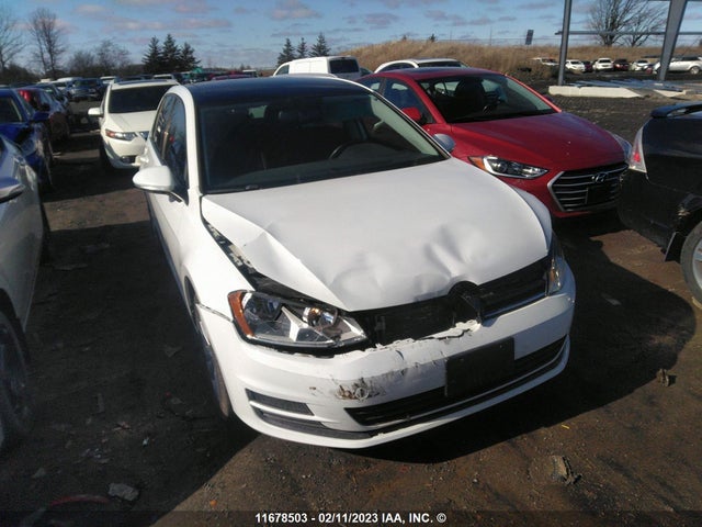 Volkswagen Golf S/se/sel 2016 3VW217AU4GM012348 main image