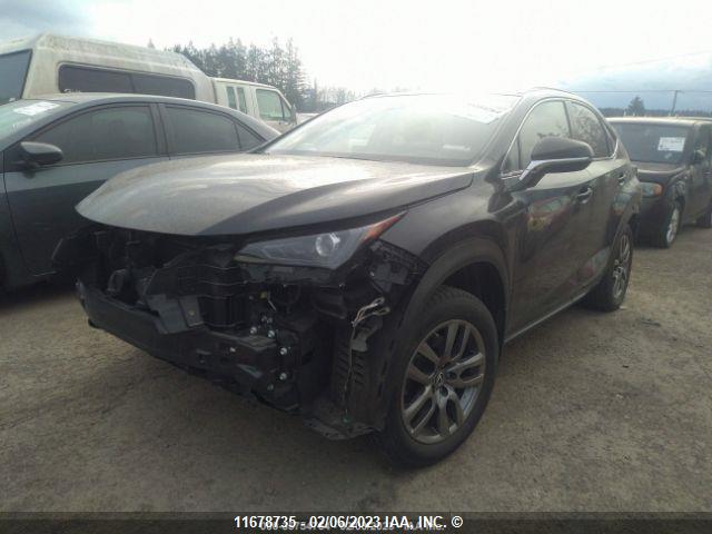 JTJBARBZ1J2178170 Lexus Nx 300/base/f Sport