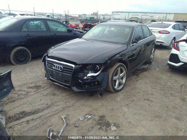 WAUFFCFL9BN039684 Audi A4 Premium Plus