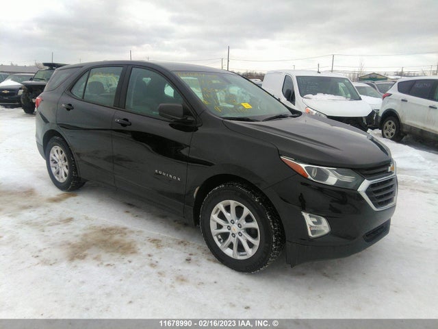 Chevrolet EQUINOX LS 2019 2GNAXHEV6K6140641 Image 1