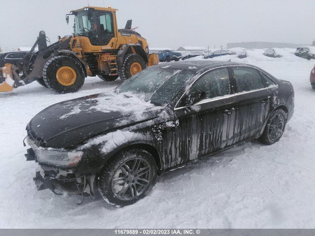 WAUFFCFL5FN038473 Audi A4 Premium Plus