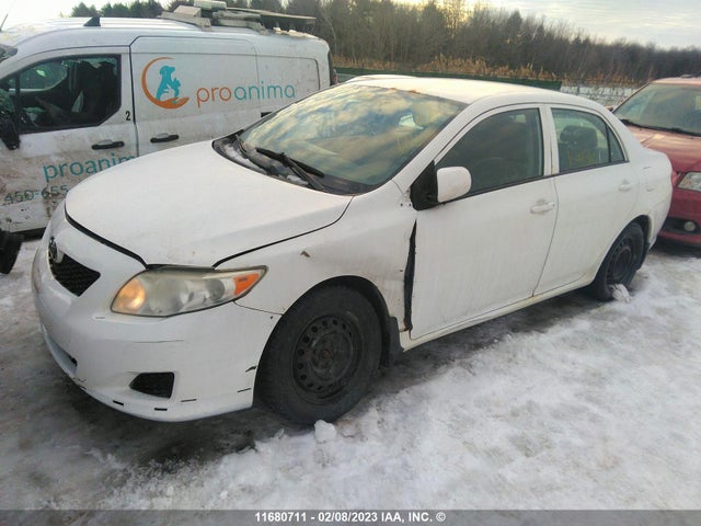 Toyota Corolla S/le/xle 2010 2T1BU4EE8AC441360 Image 2
