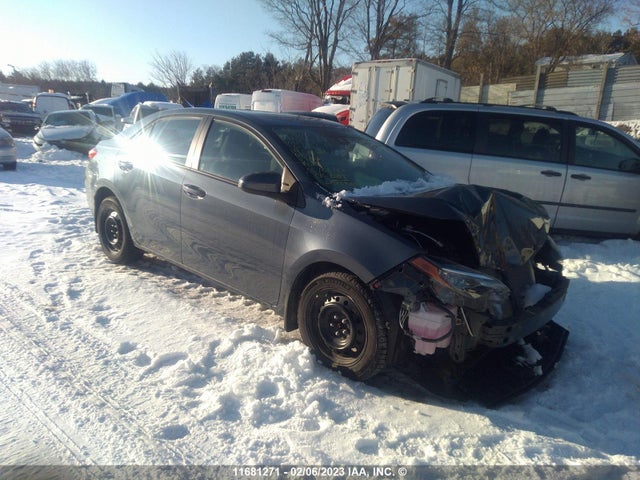 Toyota Corolla L/le/xle/se/xse 2019 2T1BURHEXKC226279 головне зображення