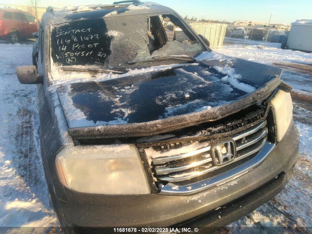 Honda PILOT EXL 2014 5FNYF4H69EB504511 Image 4