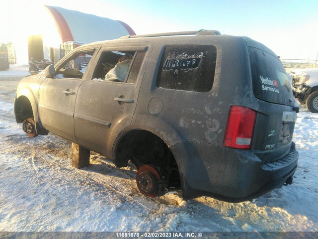 Honda PILOT EXL 2014 5FNYF4H69EB504511 Image 5