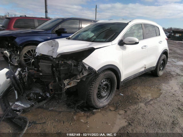 KIA Sportage Ex 2017 KNDPN3ACXH7149500 Image 2
