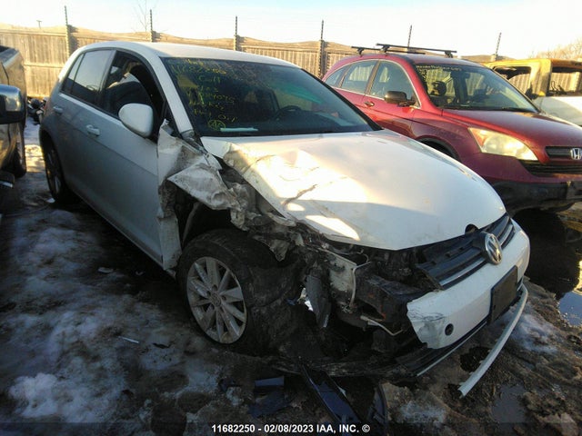 3VW217AU5FM084075 auction archive image