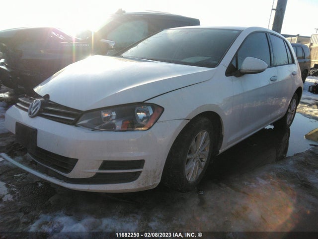 3VW217AU5FM084075 Volkswagen GOLF