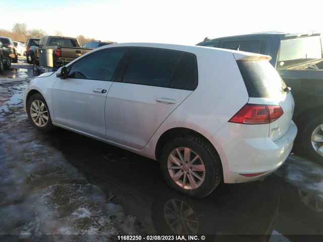 3VW217AU5FM084075 Volkswagen GOLF