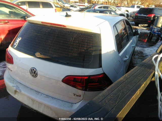 3VW217AU5FM084075 Volkswagen GOLF