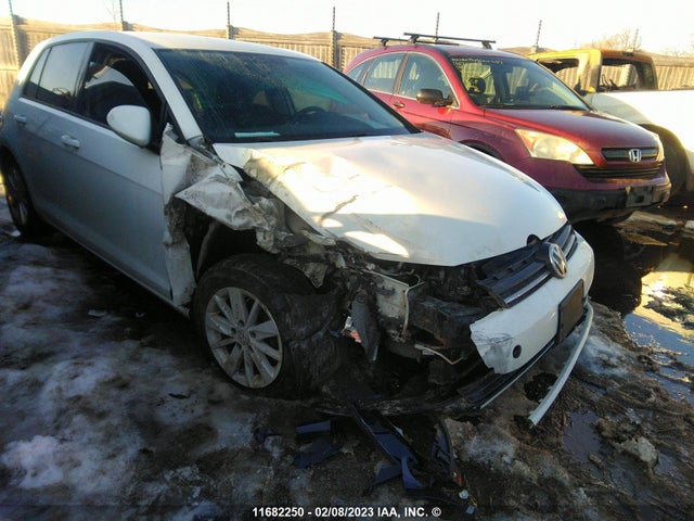 3VW217AU5FM084075 Volkswagen GOLF