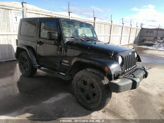 Jeep Wrangler Sahara 2009 1J4FA54159L708094 main image