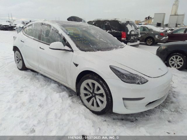 Auction sale of the 2022 Tesla Model 3, vin: 5YJ3E1EA5NF353249, lot number: 11676262