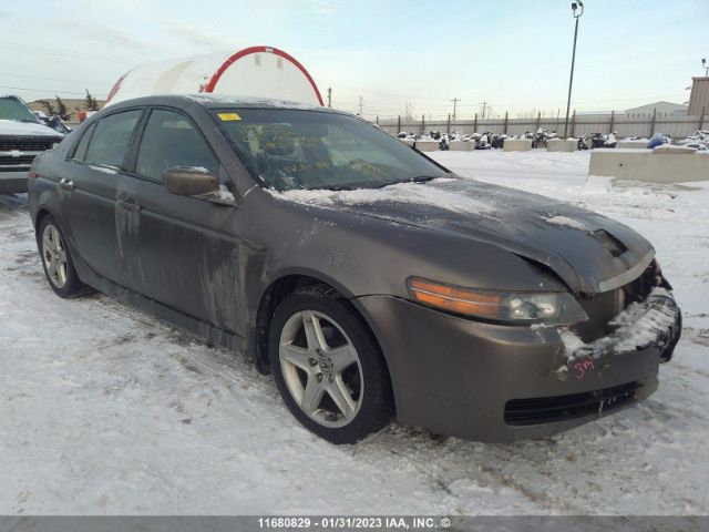 Auction sale of the 2006 Acura 3.2tl, vin: 19UUA66256A802834, lot number: 11680829