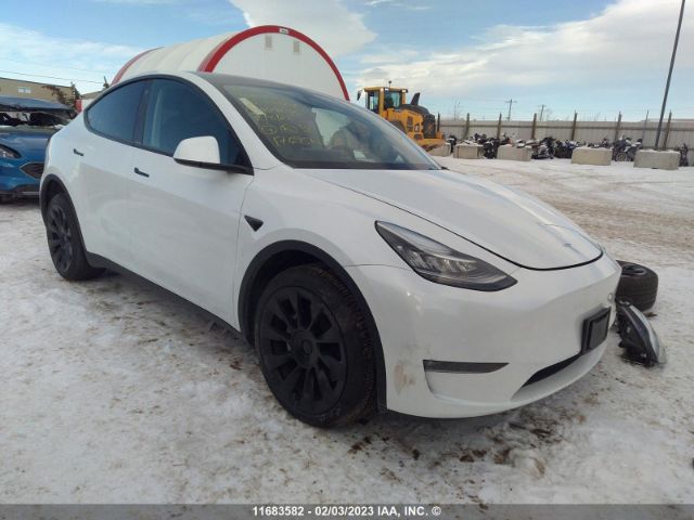 Продажа на аукционе авто 2022 Tesla Model Y, vin: 7SAYGDEE1NF469636, номер лота: 11683582