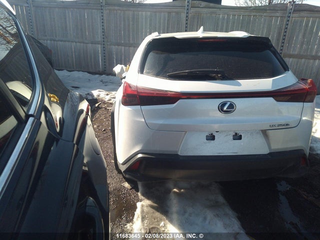 JTHU9JBH4K2007023 Lexus UX 250H
