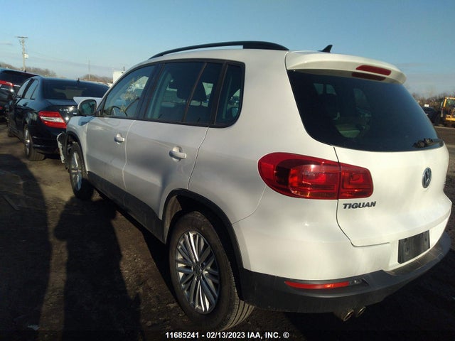 WVGJV7AX8GW594768 Volkswagen TIGUAN