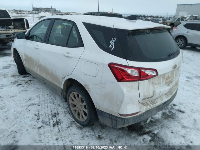 Chevrolet EQUINOX LS 2019 2GNAXHEV9K6191888 Image 4