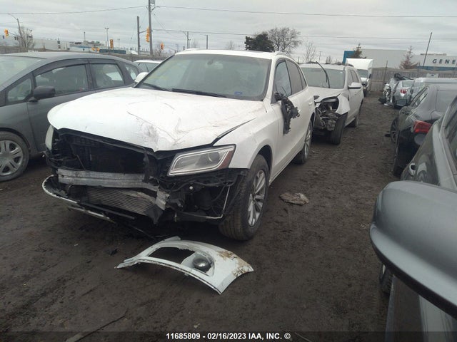 WA1LFCFP1DA019894 Audi Q5 Premium Plus