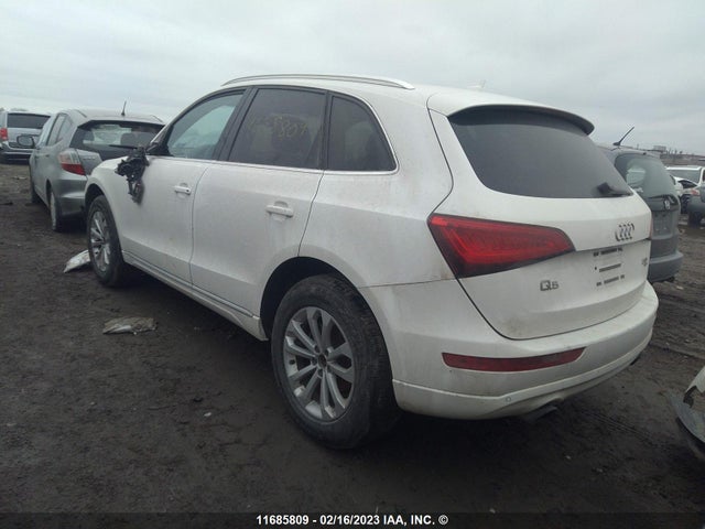 WA1LFCFP1DA019894 Audi Q5 Premium Plus