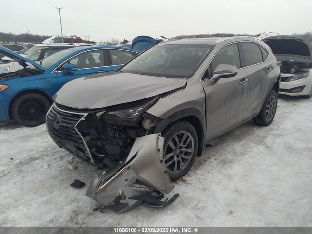 JTJBARBZ2J2162642 Lexus Nx 300/base/f Sport