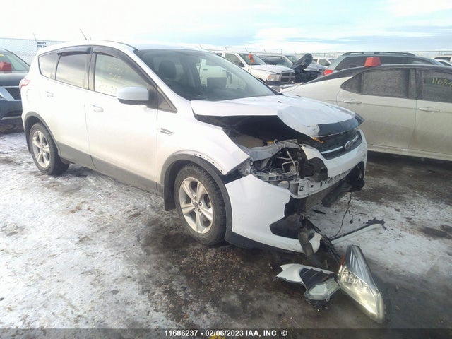 Aukcja sprzedaży 2014 Ford Escape Se, vin: 1FMCU9G98EUD82980, numer aukcji: 11686237