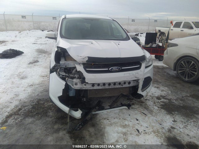 Aukcja sprzedaży 2014 Ford Escape Se, vin: 1FMCU9G98EUD82980, numer aukcji: 11686237