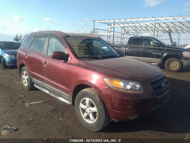 Продаж на аукціоні авто 2009 Hyundai Santa Fe, vin: 5NMSG13E19H285483, номер лоту: 11686248