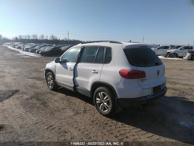 WVGJV3AX4EW606002 Volkswagen Tiguan S/se/sel/r-line