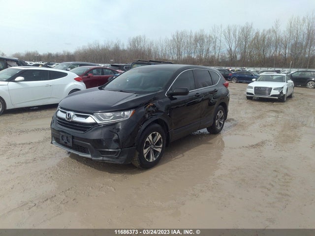 Honda CR-V LX 2019 2HKRW1H32KH000579 Image 2